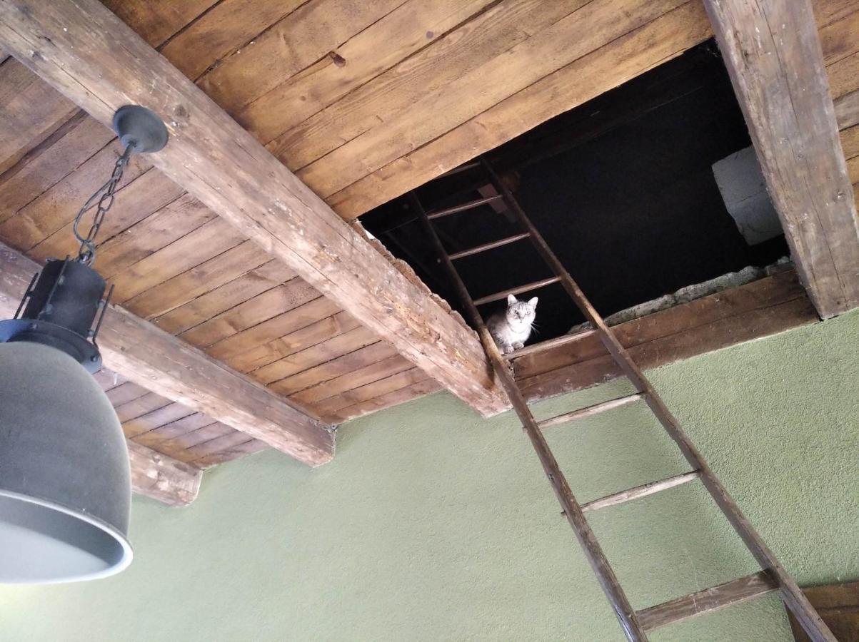 Ubytovani U Malinkovicu Břeclav Exteriör bild